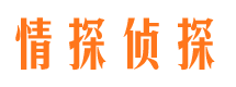 团风市私家侦探